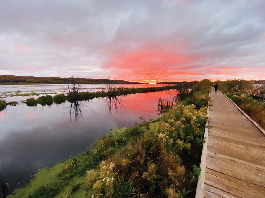 boardwalk in Arcadia Marsh Nature Preserve