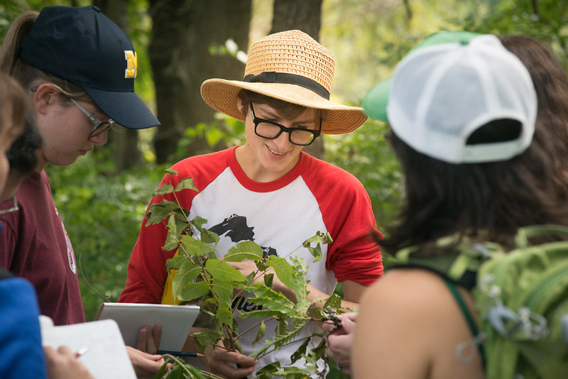 Students completing field work