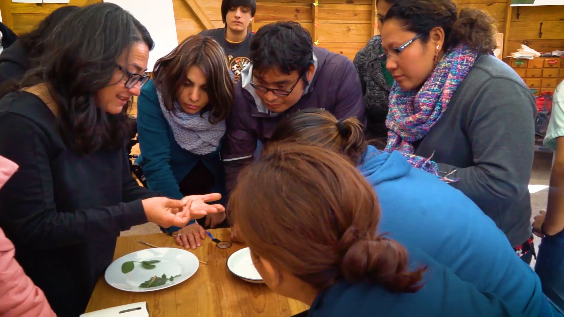 Helda shows teachers a plant