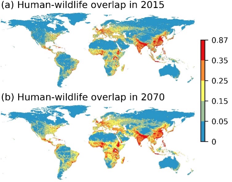 human-wildlife