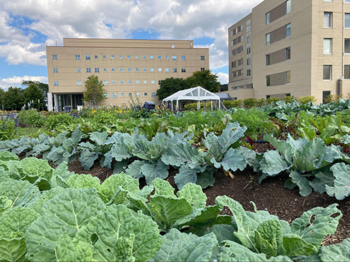 The farm at St. Joseph Mercy Oakland in Pontiac, Michigan